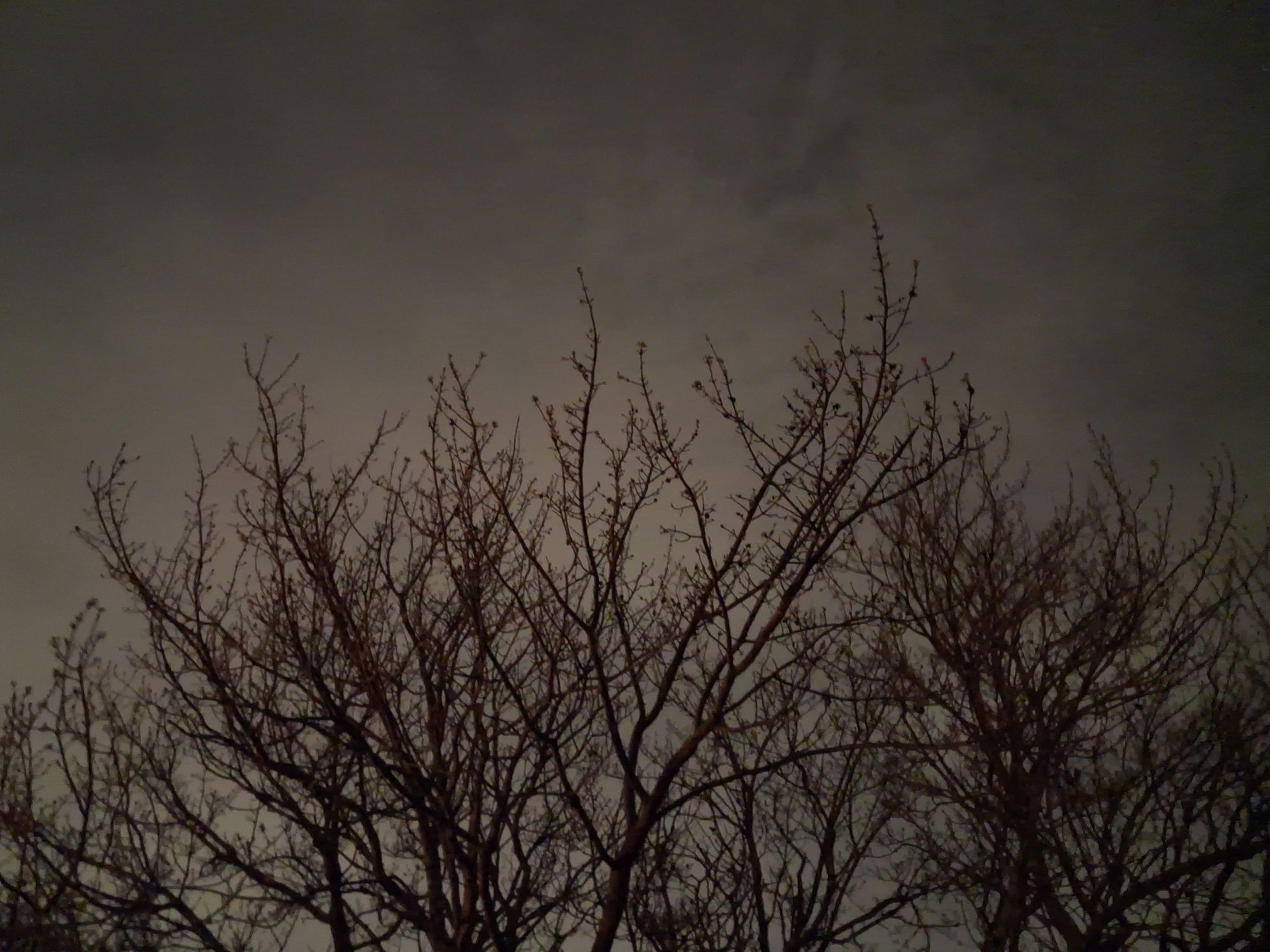 نمونه دوربین سامسونگ گلکسی A17.