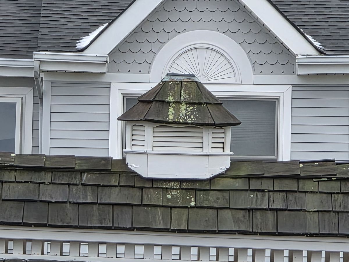 Samsung Galaxy S25 Ultra zoom sample.