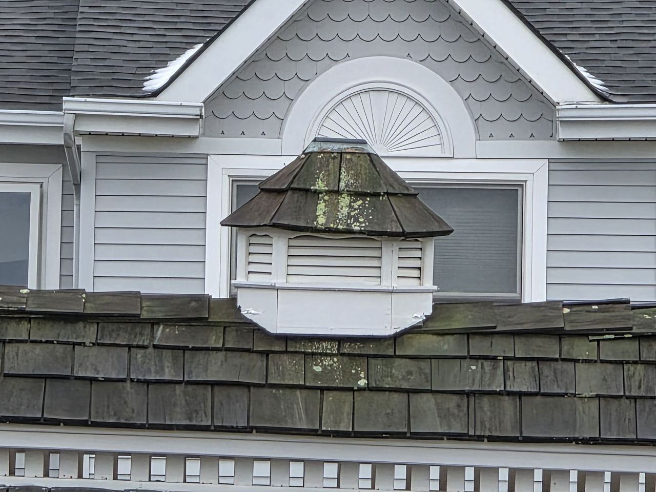 Samsung Galaxy S25 Ultra zoom sample.
