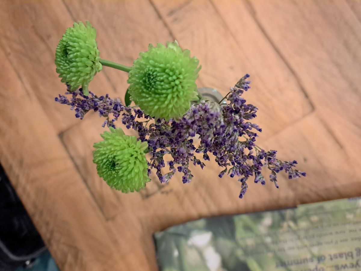 Samsung Galayx A53 5G sample photo