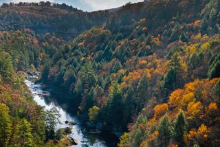 The Obed Wild and Scenic River, Tennessee