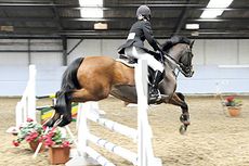 unaffiliated indoor show jumping