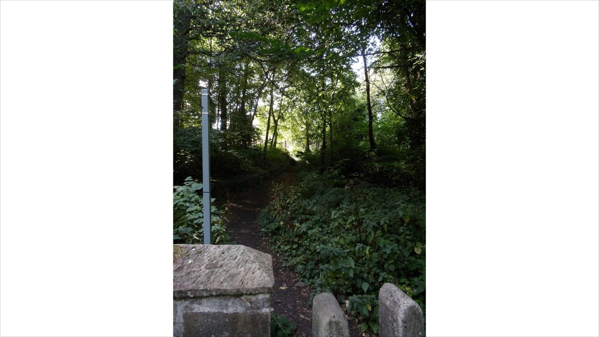 Images taken with the Kodak AZ653 cameras
