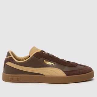 Puma Club Ii Era Trainers in Brown Multi