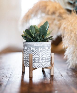 A DIY plant stand made from candle jar