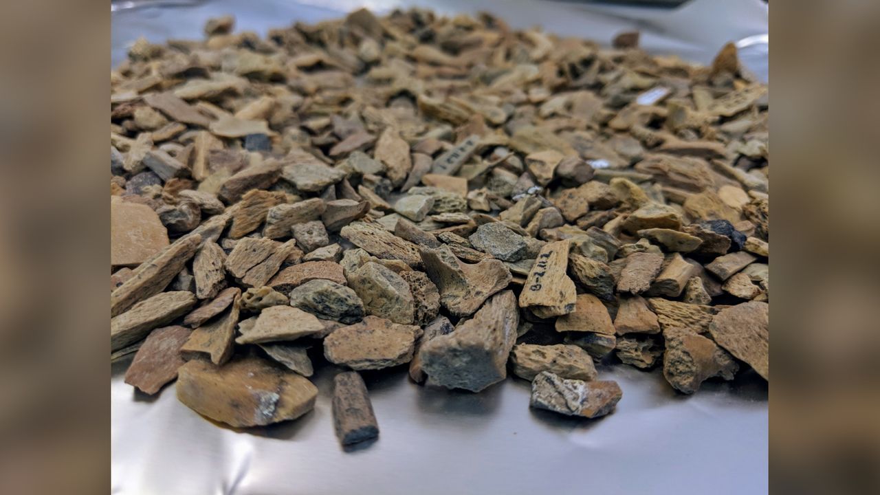In the new study, researchers looked for Denisovan DNA within 3,791 bone scraps from Denisova Cave.