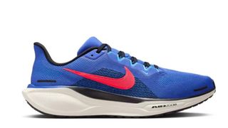 Nike Pegasus 41