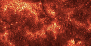 A field of gargantuan "spicules" swirl out of the sun's surface in this satellite image.