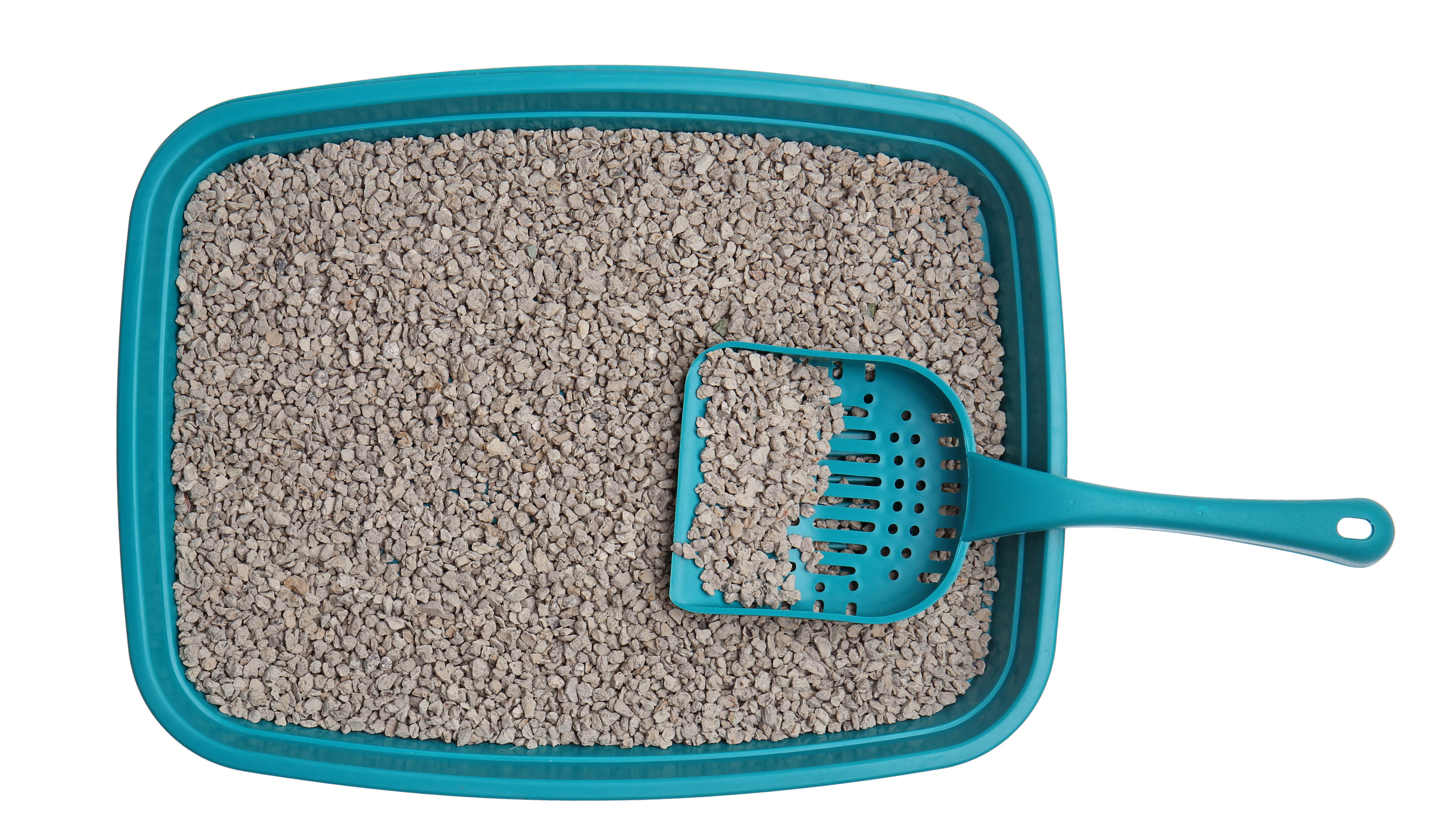 Cat litter box