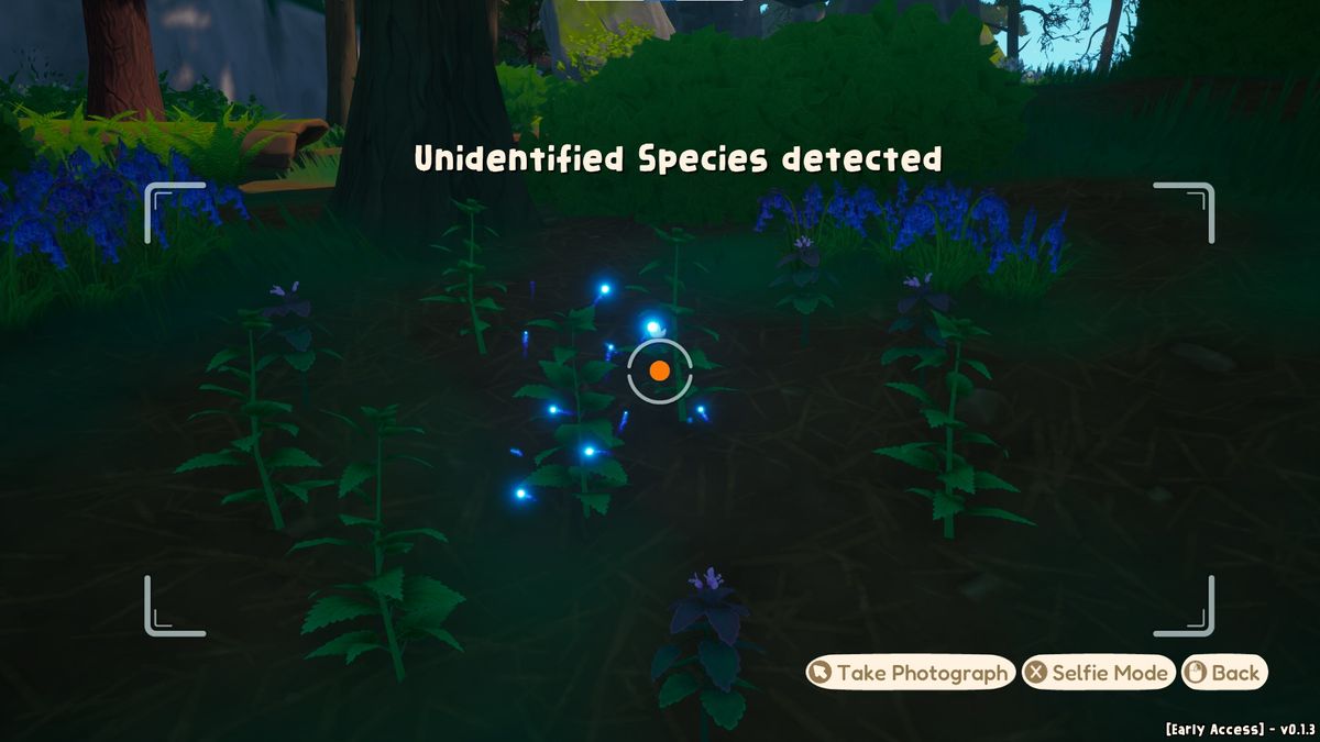 Out and About screenshot of a camera viewfinder that points at an unidentified species of plant that you can take a photograph of to identify it