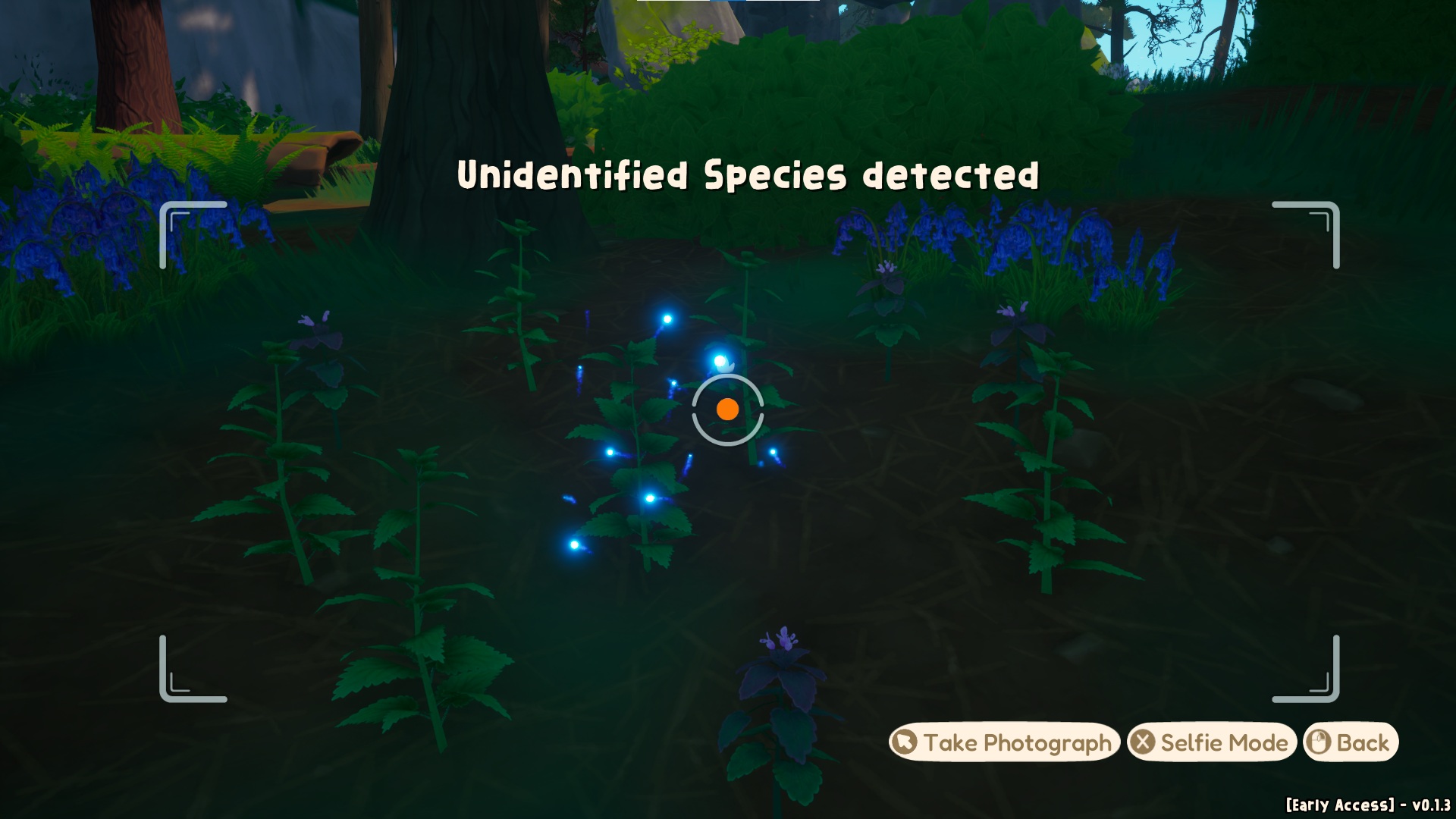 Out and About screenshot of a camera viewfinder that points at an unidentified species of plant that you can take a photograph of to identify it