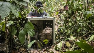 Wildscreen welcomes entries to its wildlife storytelling awards