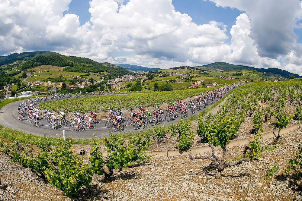 The peloton rolls through the countryside during stage 2 at the Criterium du Dauphine