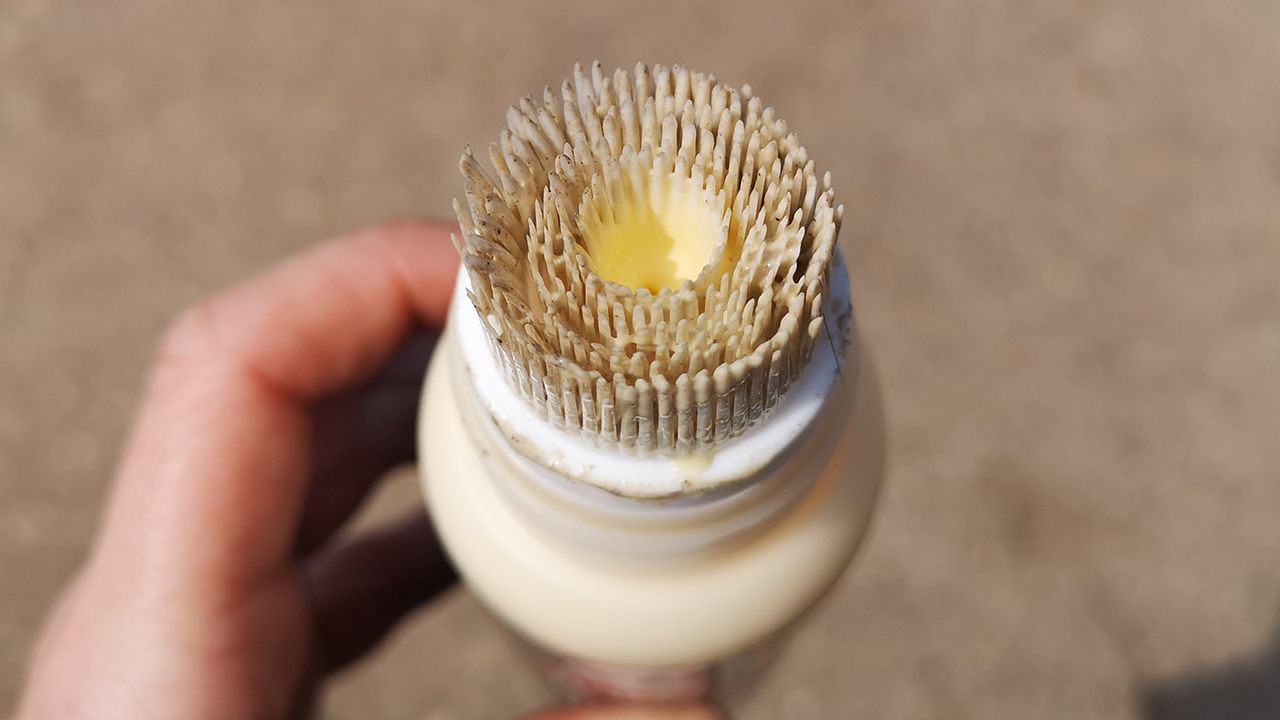 Leovet Hooflab Elastic Cream bristle after use
