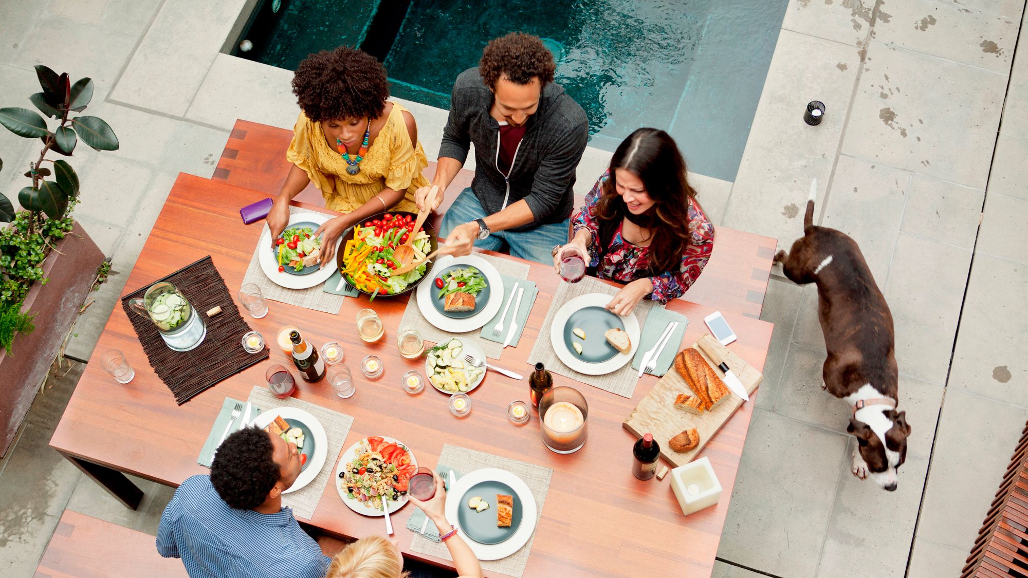 Human, Cuisine, Food, Table, Dish, Sharing, Meal, Brunch, Houseplant, Plate,