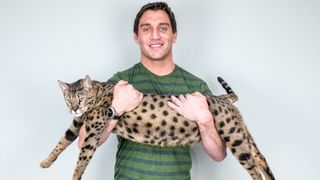 Fenir - the world’s tallest living cat 2022