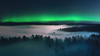 green northern lights over a misty forest