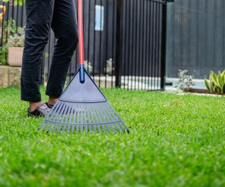 A mans legs and a plastic leaf rake on some plastic grass