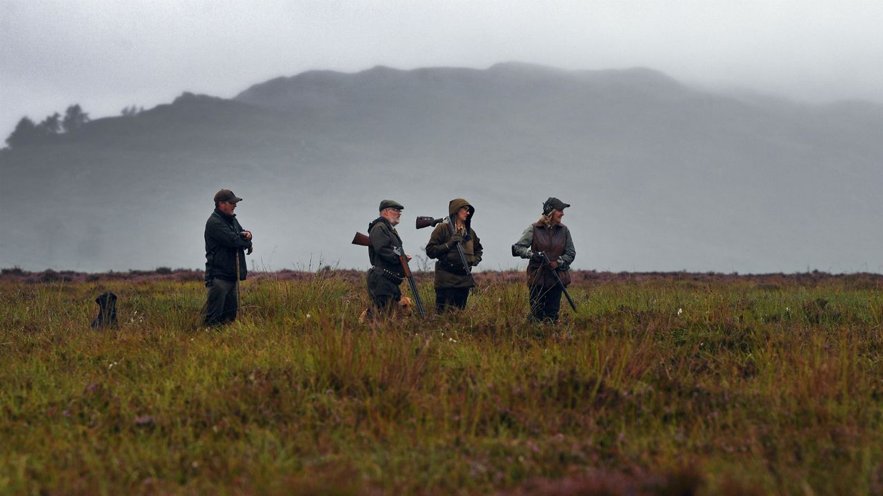 Grouse hunting