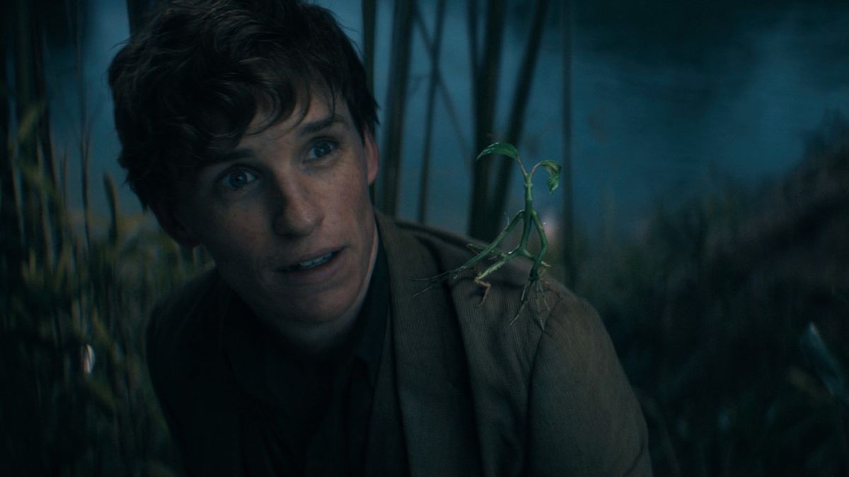 Eddie Redmayne as Newt Scamander in Fantastic Beasts: The Secrets of Dumbledore