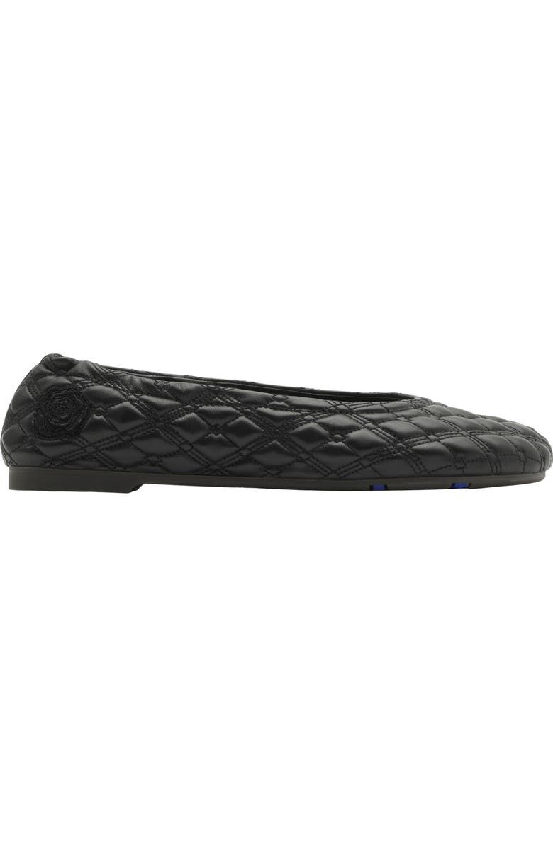 Sadler Embroidered Ballerina Flats