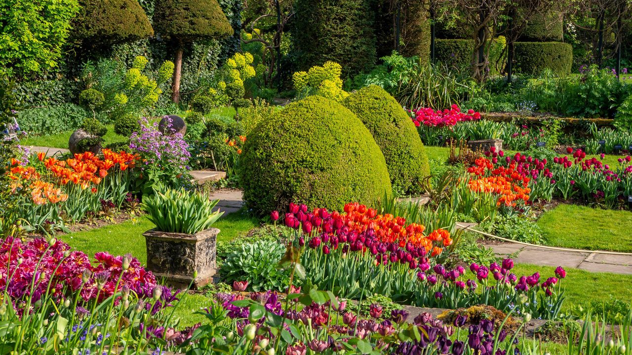 how to plant a border for year round color Lawn and paved paths through rows of spring bulbs 