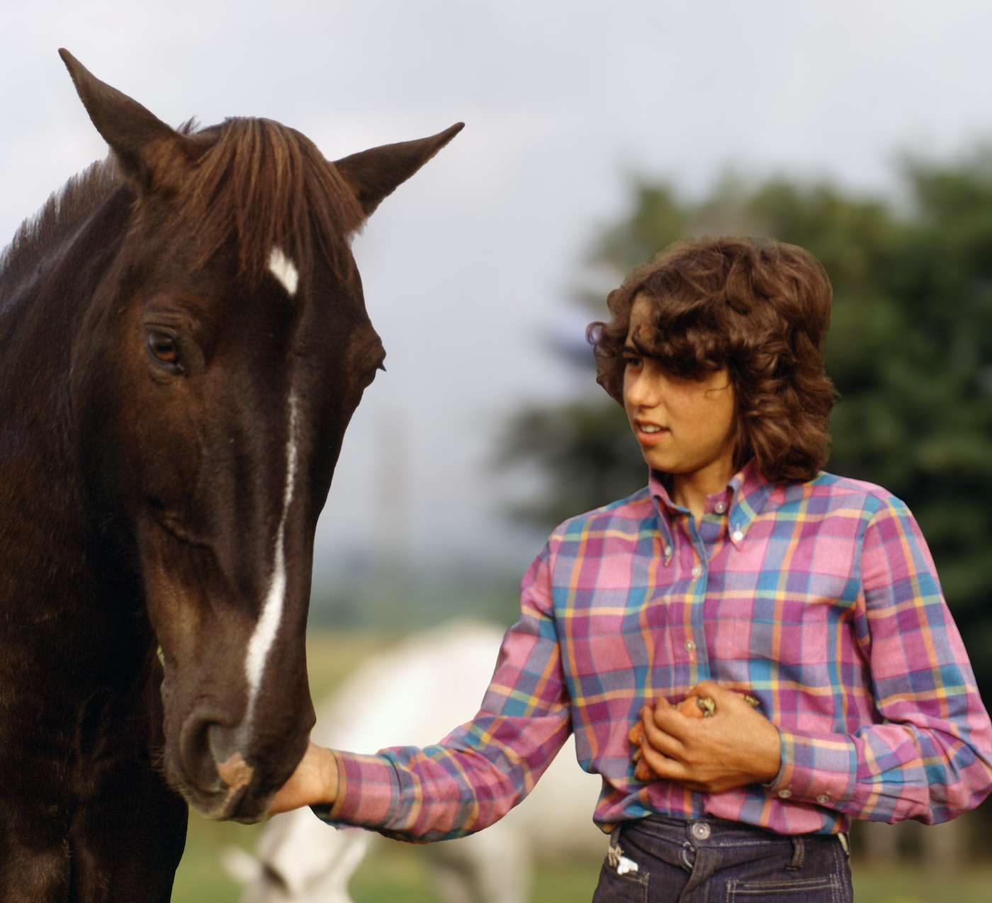 Ziggy1