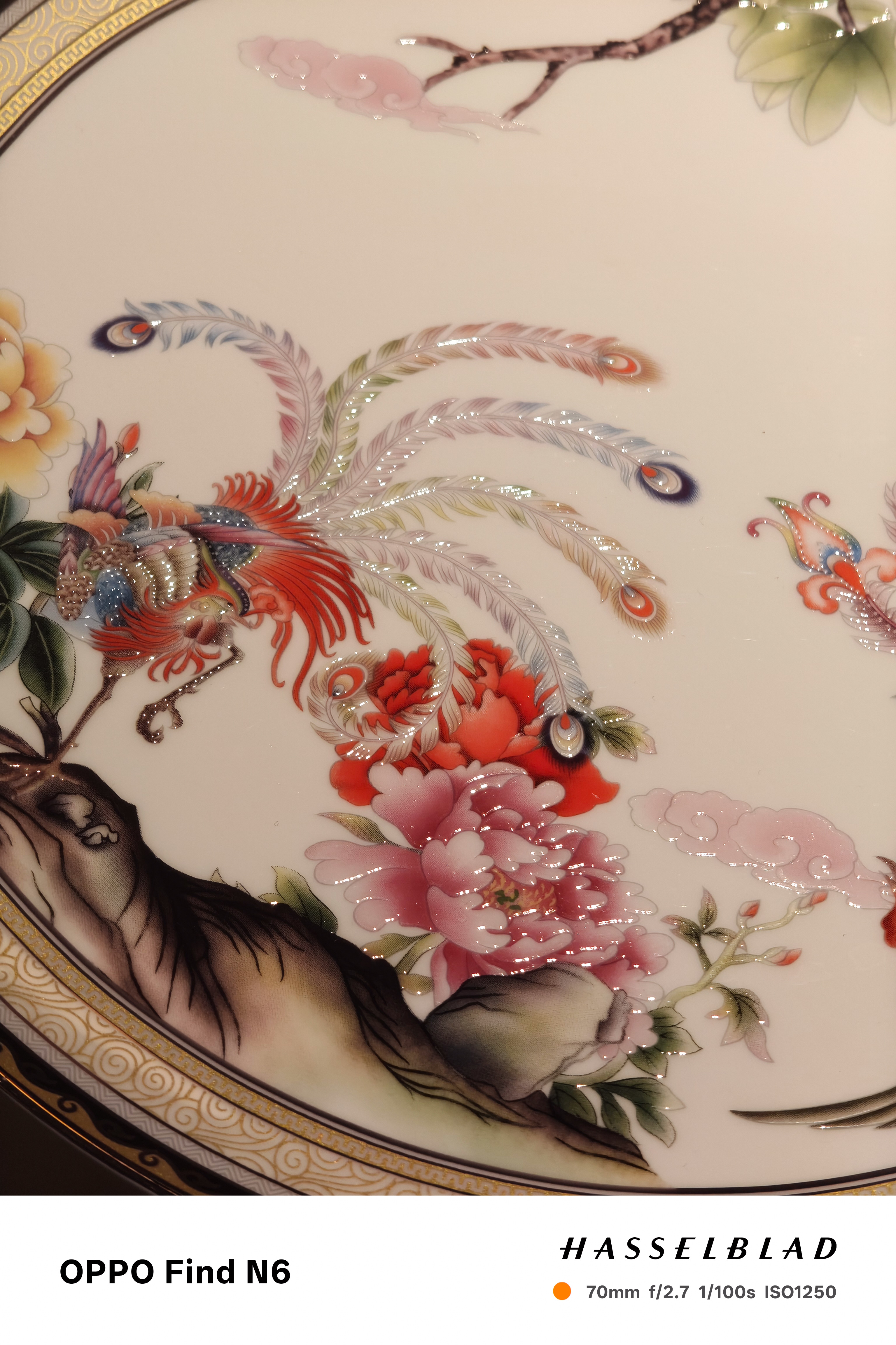 A detailed shot of an ornate porcelain plate featuring traditional Chinese-style artwork. The image shows a colorful phoenix with flowing tail feathers, pink peony flowers, and stylized clouds, highlighting the fine glazed texture.