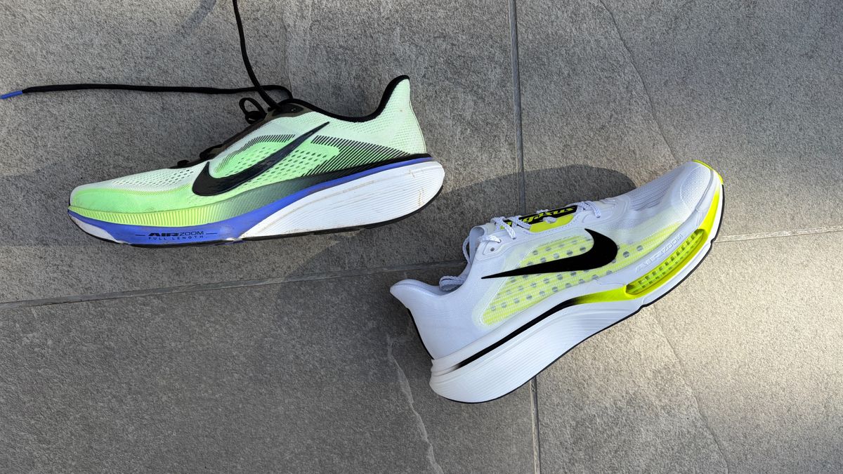 Nike Pegasus 42 and Nike Pegasus Plus 2