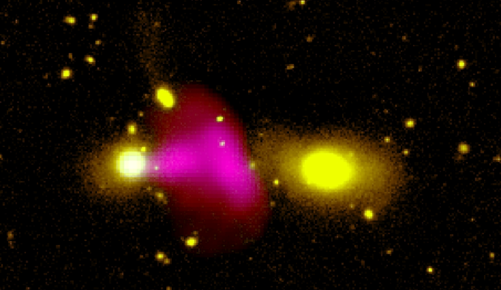 a bright pink blob between bright yellow spots