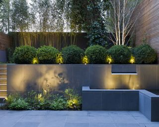 modern garden with boxwood planters lit up