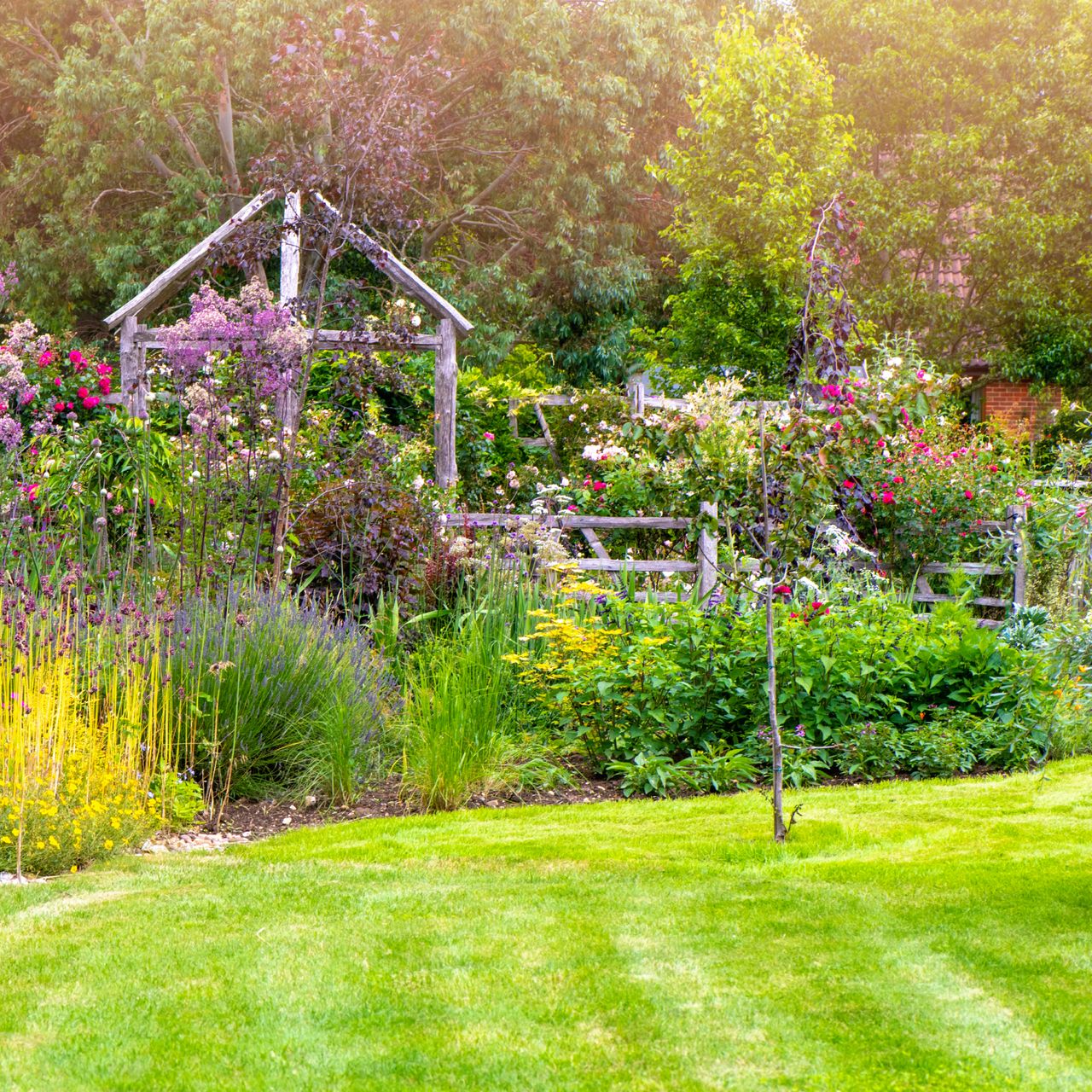 What Are Fruit Tree Guilds - Starting A Cherry Tree Plant Guild