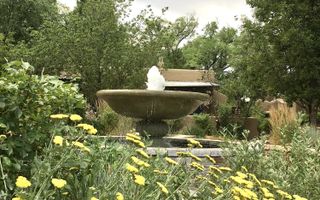 large water feature in a garden