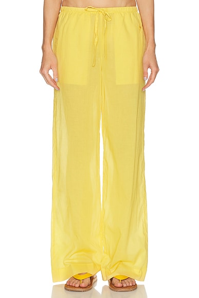 Brody Pant