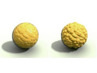Ball with bump mapping (left) and with displacement mapping (right).