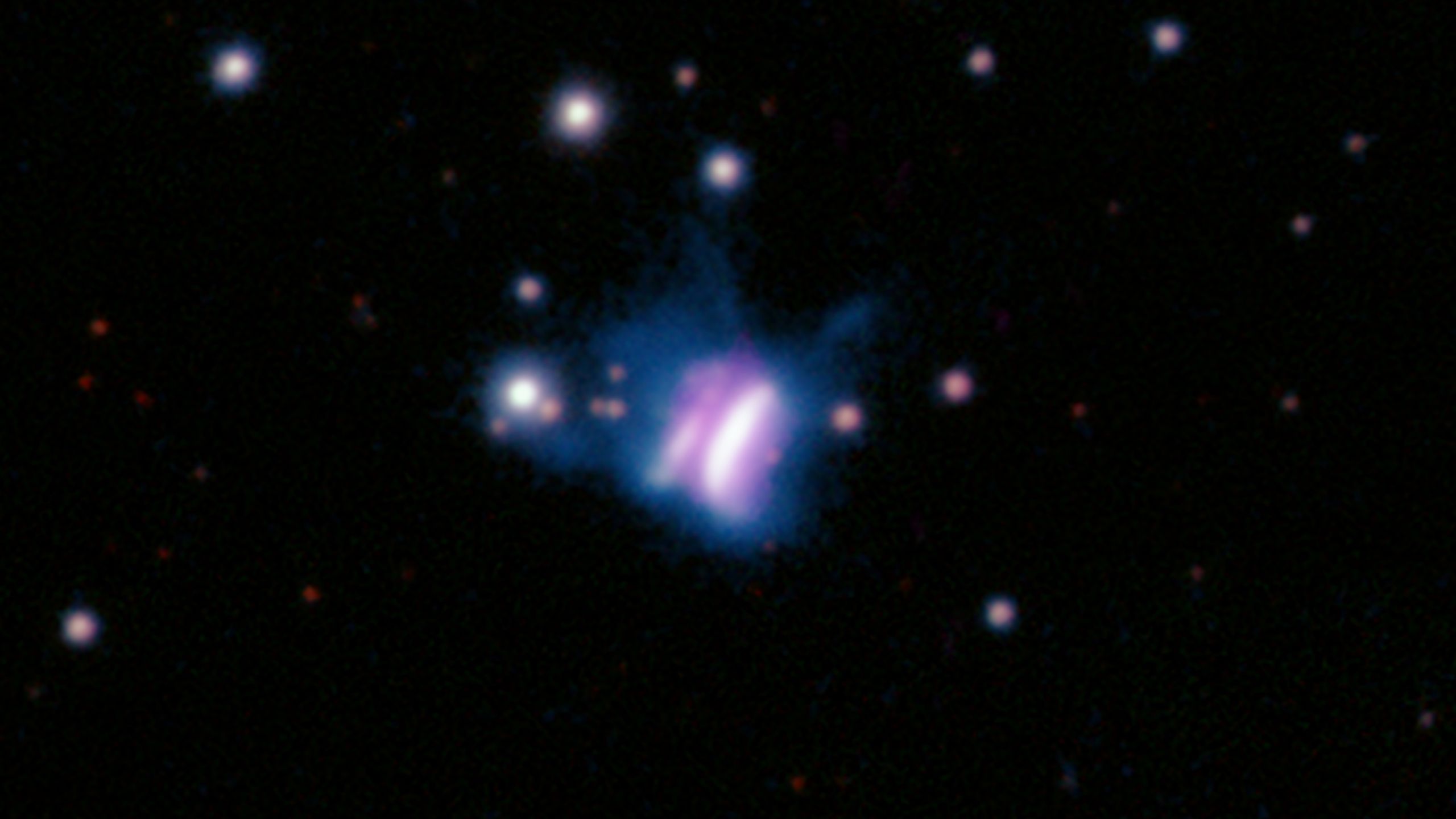【G5943】COSMIC BUTTERFLY/DOOSYCOOKIE G5943】COSMIC BUTTERFLY/DOOSYCOOKIECosmic Butterfly A Celestial