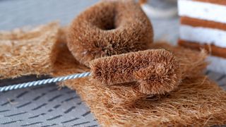 coconut scourer