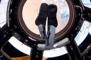 Osom Brand's socks, the first upcycled footwear worn in space, are seen floating in the multi-window Cupola on the International Space Station during astronaut Doug Hurley's 2020 stay.