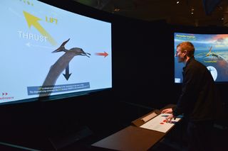 Visitors experiment with the principles of pterosaur aerodynamics