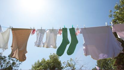 A washing line outside with various articles of laundered clothing including a pair of green socks