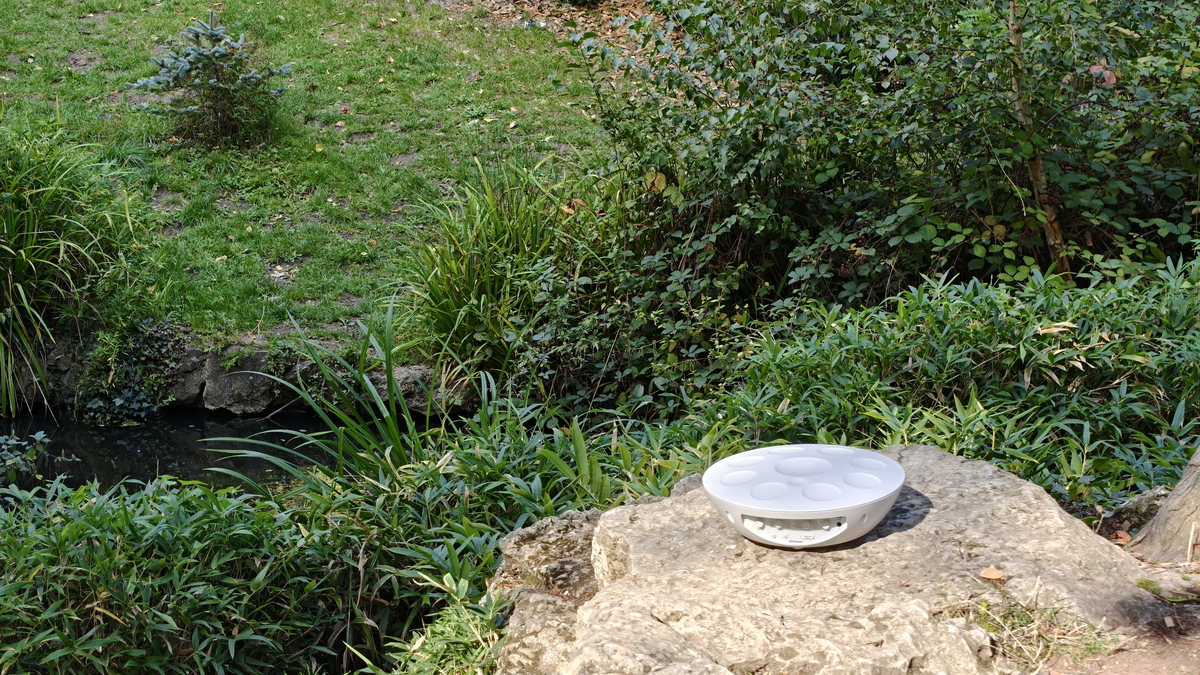 The Roland Mood Pan in a nature setting
