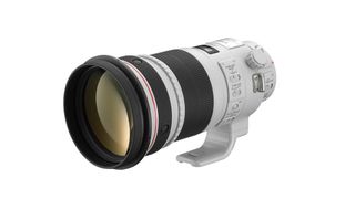 Canon 300mm f/2.8