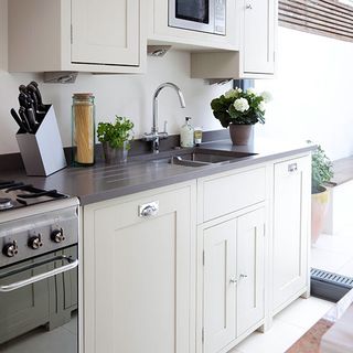 kitchen room with kitchen cabinet potted plant