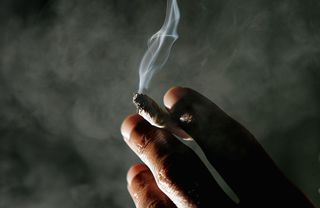 Jonathan Beaver of San Francisco holds a marijuana cigarette at the San Francisco Patients Cooperative, a medical cannabis cooperative, November 29, 2004 in San Francisco, California.