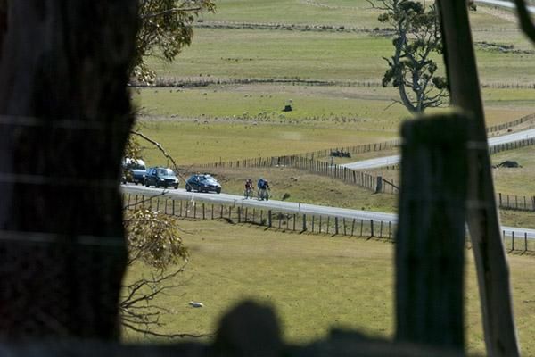 A leading quartet on the outskirts of Bothwell in Tasmania's central highlands.