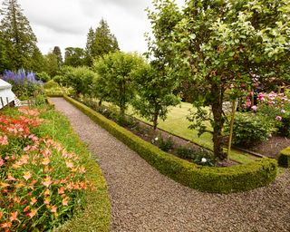 A garden path with a hedge border and colourful flower beds.