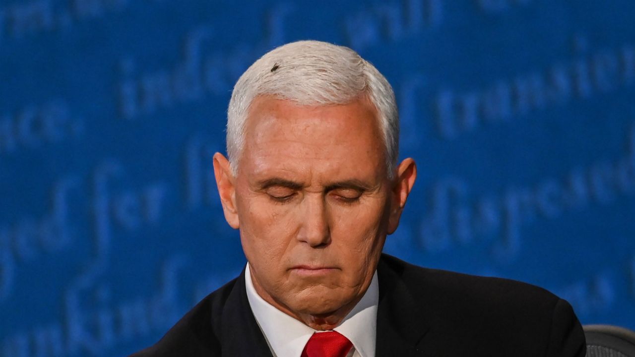 Vice president Mike Pence