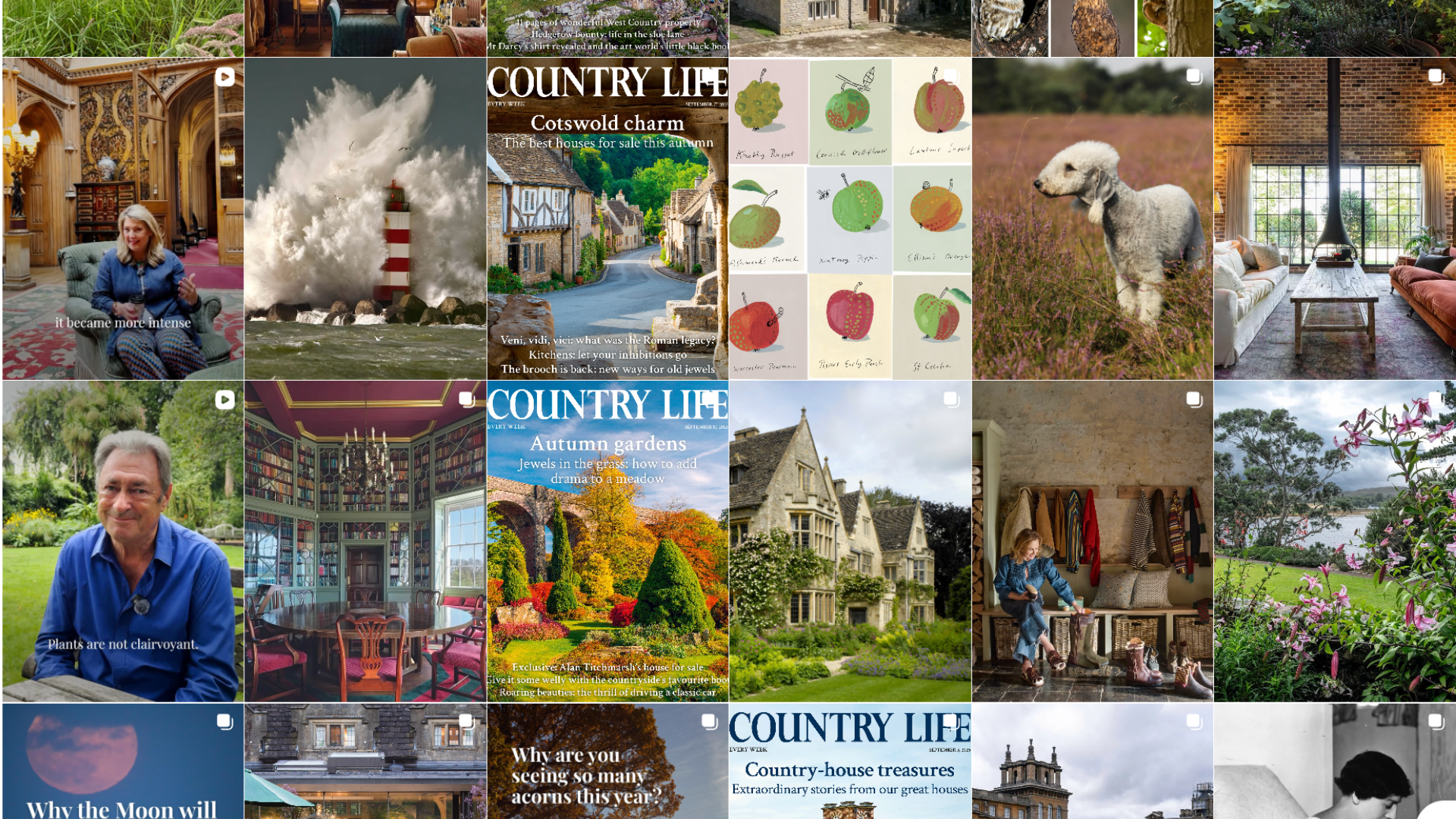 A Country Life Instagram grid featuring country houses, historic interiors, dogs on furniture, a grand chandelier installation, bookshelves, magazine covers, misty woodland landscapes and a blue-painted spiral staircase titled &lsquo;Nine of Britain&rsquo;s most beautiful staircases&rsquo;.