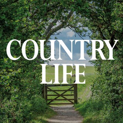 Country Life Podcast