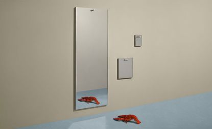 Aluminium mirrors with lobster